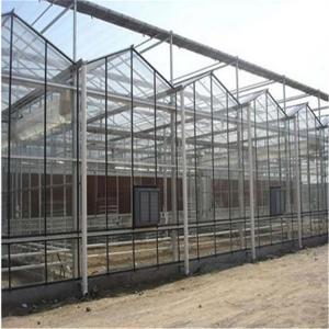 Buy cheap Tempered Glass Panel Venlo Type Greenhouse Multispan For Vegetables Hydroponic product