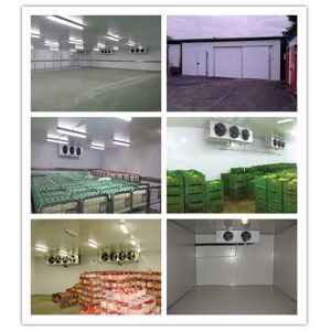 Buy cheap 500 Tons Cold Room Freezer Room for Butcher Shop Freon Refrigerant and Direct Cooling from wholesalers