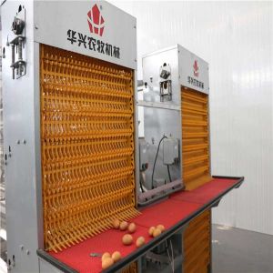 Buy cheap Electrostatic Spray Poultry Farm Machine , Steel Egg Laying Chicken Cages from wholesalers