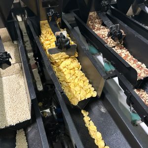 Automatic Multihead Weigher for Parrot Food Packing 2.5kg