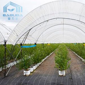 Top Ventilation Multi Span Plastic Tunnel Greenhouse Rustproof