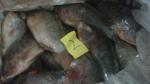 Buy cheap Frozen IQF tilapia fish farming whole round from wholesalers