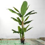 Buy cheap Artificial Banana Tree 6ft Tall 22 Large Leaves Triple Stalk Faux Banana Silk Tree Artificial Banana Leaf Plant from wholesalers