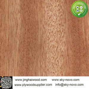Buy cheap Bintangor,oak,maple natrual veneer from wholesalers