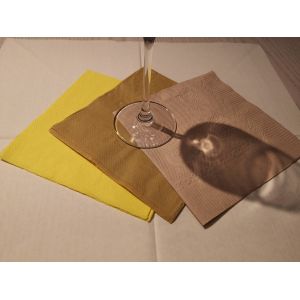 China Eco Friendly 2ply Luxury Paper Napkin 33x33cm Full Embossed Patteren on sale