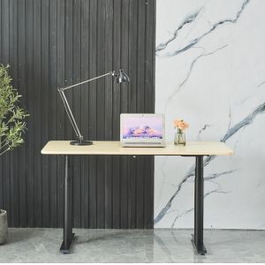 Smart Office Computer Lift Table with Adjustable Height and Customization