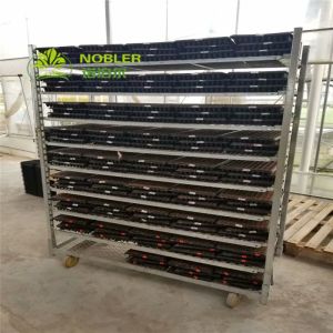 Buy cheap Flower Frame Seedling Cart Danish Plant Trolley Hot Galvanizing from wholesalers