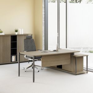 Buy cheap FLEX Ergonomic Design Executive Office Desk Rectangular Shape With Spacious product