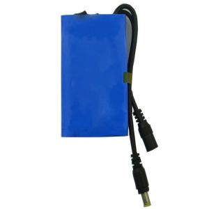 Buy cheap IEC62133 12V 2500mAh Lithium Ion Polymer Battery Pack from wholesalers