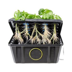 Polyurethane Cloning Collar Foam Moisture Retain With RoHs / Reach Certificates