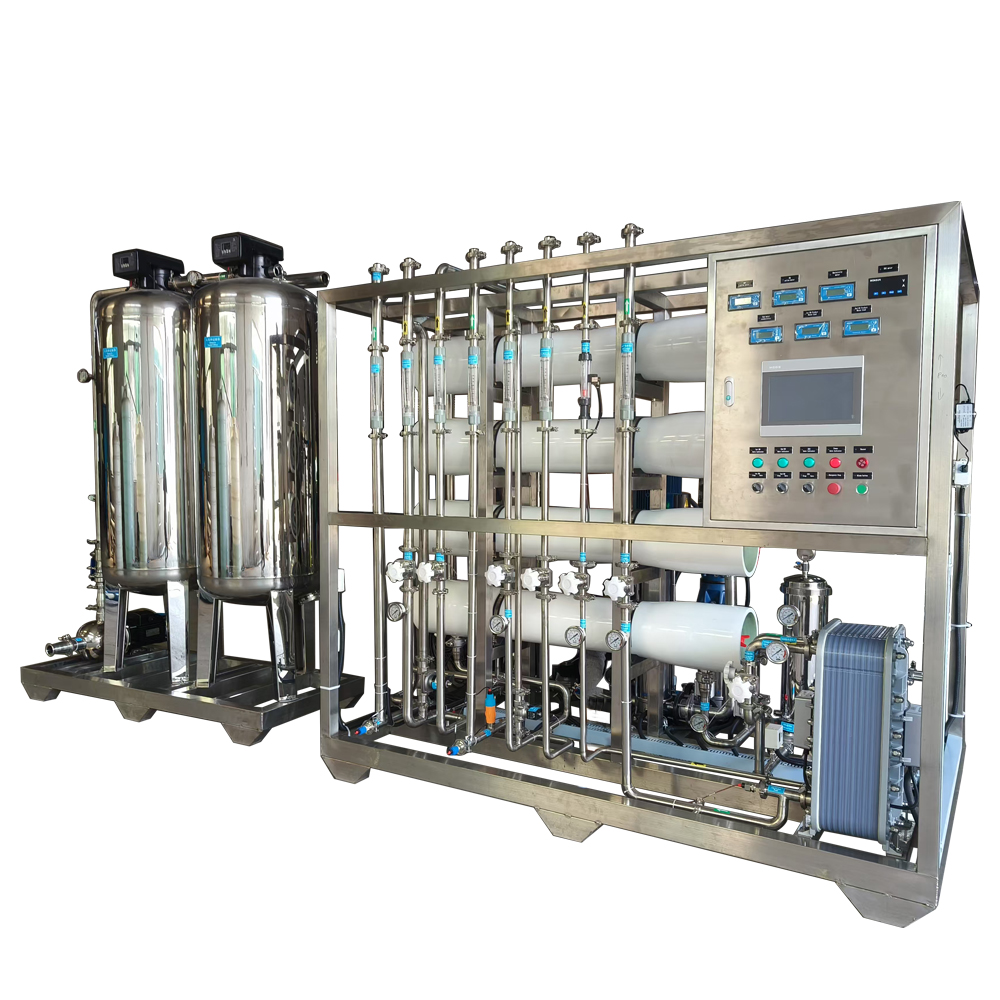 China 2000L/H Two Pass RO EDI Ultra Pure Water Treatment System with 18.2 MΩ*cm Resistivity and Compact Skid-Mounted Design on sale