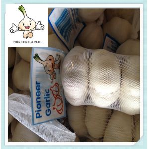 Buy cheap Fresh nature garlic normal white garlic for Dominican with cheap price from wholesalers