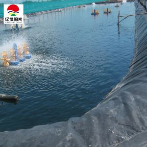 Buy cheap Biofloc Tarpaulin Fish Tank Farming Pond Liner with LLDPE Geomembrane HDPE 0.75mm 1mm from wholesalers