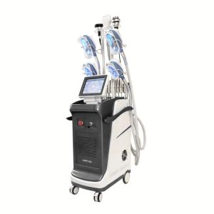 Buy cheap 360 Cryolipolyse Cryotherapy Machine / Criolipolisis Machine Cryolipolysis from wholesalers
