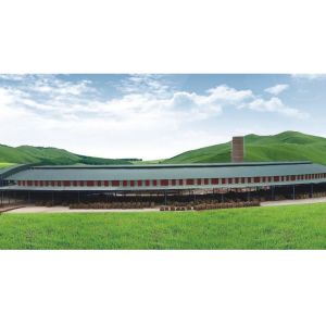 7.2M 10.8M 12.98M Brick Tunnel Kiln Environmentally Friendly And Reliable