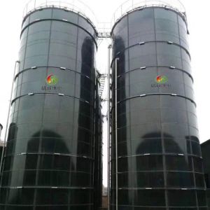 Anaerobic Digestion Reactor Upflow Anaerobic Sludge Blanket Digestion