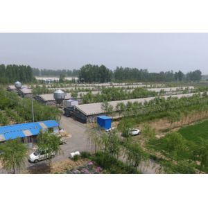 Buy cheap Galvanized Steel Structure Farm Windproof Steel Frame Chicken Coop from wholesalers