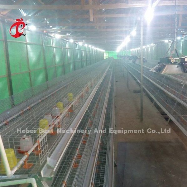Buy cheap Rearing Cage Poultry Farm Brooder Breeding Equipment Sandy from wholesalers