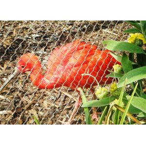 Buy cheap CE Approved Aviary Wire Netting with 20mm to 50mm Mesh Opening and 2.0mm Wire Diameter Stainless Steel Cable Mesh from wholesalers