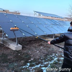 China Physical Cleaning Water Fed Pole with 4 Water Sprinkler Paths and 120 Watt DC Pump on sale