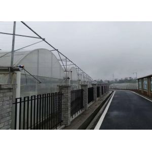 Buy cheap Simple Structure Plastic Film Greenhouse For Vegetables / Fruits Growing product