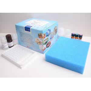 Buy cheap Research Use Vitamin Test Kit / Rapid Vitamin B12 ELISA Test Kit product