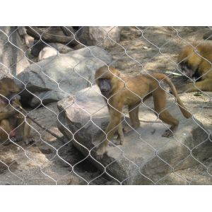 Stainless Steel Wire Rope Mesh Metal Wire Mesh Zoo Mesh