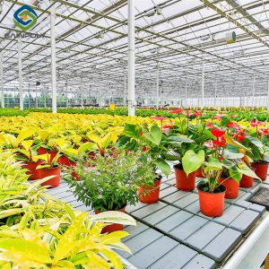 Buy cheap Intelligent Smart Flower Greenhouses With Hydroponic System Rolling Bench product