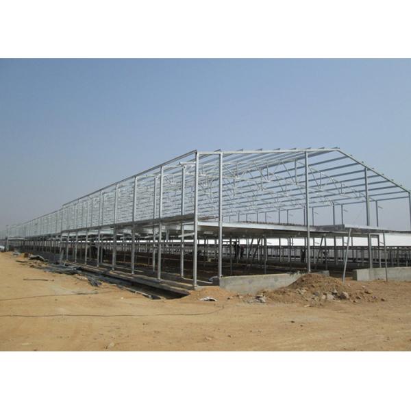 Environmental Controlled Layer broiler chicken shed construction 275g Zinc