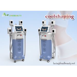 Buy cheap 2-3cm fat reduction Cryolipolysis slimming machine / 2 working heads fat freezing machine from wholesalers