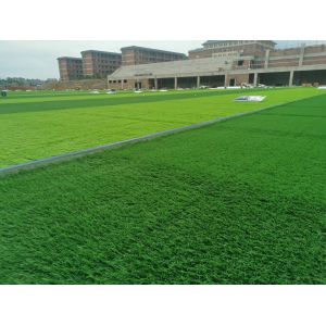 Buy cheap Advanced Weaving Technique Synthetic Grass Field With Disease Resistant Yarn from wholesalers