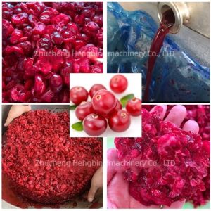 304 Stainless Steel Hydraulic Cold Press Juicer for Commercial of Grape and
