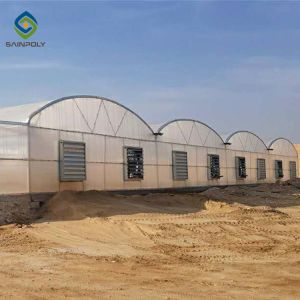Buy cheap Vegetable Multi Span 3.0m Arch PC Sheet Greenhouse from wholesalers