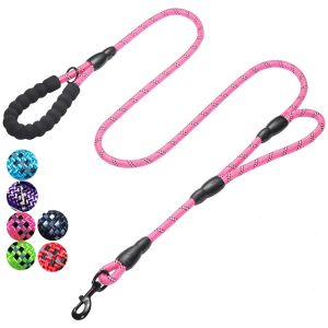China Reflective  6 Feet Long Nylon Dog Leash , Heavy Duty Dog Leash 2 Padded Handles on sale