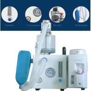 DM6D Veterinary Anesthesia Ventilator Small Animal Anesthesia System