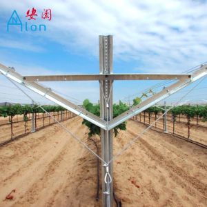 Buy cheap Vertical Grape Trellis Vineyard Fence Posts With Different Surface Treatment from wholesalers