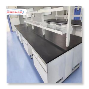 Buy cheap Fast Installation Chemistry Lab Furniture with Customization Options from wholesalers