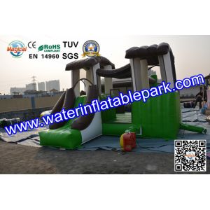 Indoor and Outdoor Inflatable Bouncy Castle with Slide