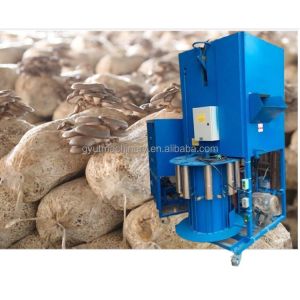 Buy cheap Multi Function Oyster Mushroom Spawn Sack Filling Machine for Mushroom Planting from wholesalers