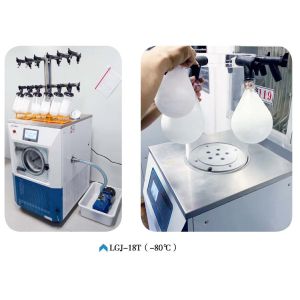 LGJ-10C Vacuum Lab Freeze Dryer Machine AC220V 50Hz