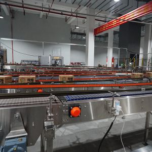 Buy cheap Wide Side Mechanical Stretch No Pallet Wrapping Wrap Around Case Packer Carton Packer from wholesalers