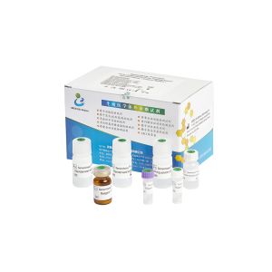 Quality Human Seminal Fructose Test Kit / Fructose Assay Kit Enzymatic Method Test CE Approved for sale Buy cheap Human Seminal Fructose Test Kit / Fructose Assay Kit Enzymatic Method Test CE Approved product