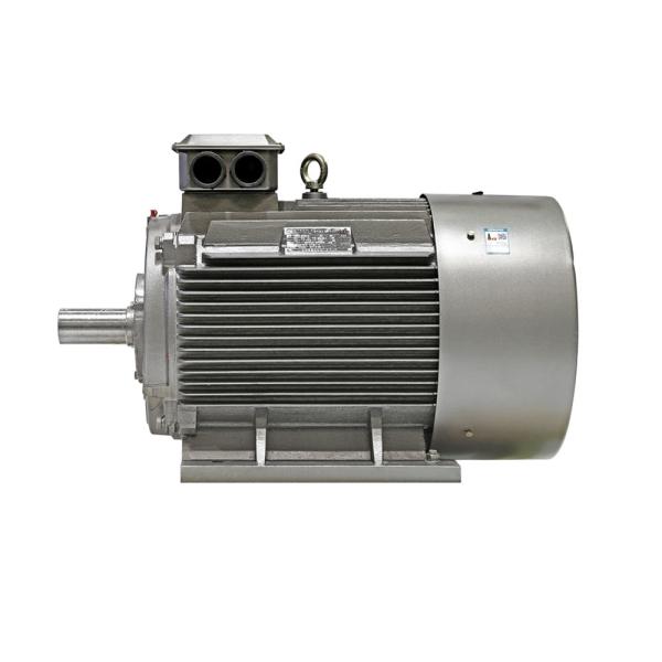 China 380V IP55 Class F IM B3 AC Asynchronous Motor Energy Saving on sale China 380V IP55 Class F IM B3 AC Asynchronous Motor Energy Saving on sale