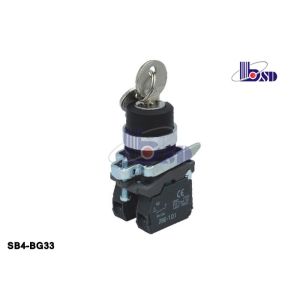 Professional Electrical Selector Key Switch ROHS And UL Certified