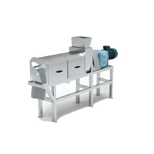 Industrial Automatic Double Screw Berry Pineapple Apple Grape Herb Vegetable