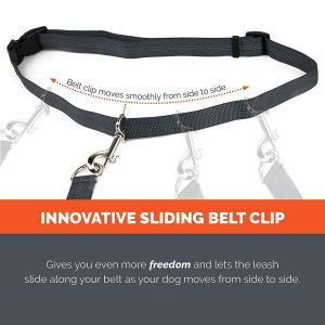 Buy cheap 4 Feet Long Bungee Dog Lead With Reflective Stitching from wholesalers