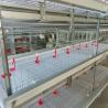 Buy cheap H Type Broiler Cage With Poultry Drinking System from wholesalers