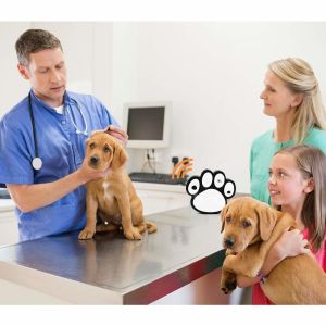 Paw Design Bark Control Deterrent Detects Barking Up 50 Feet For All Size Dogs