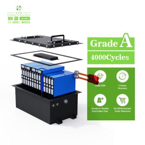 51.2V 105Ah Lithium Ion Golf Cart Battery Pack Rechargeable LFP Golf Cart