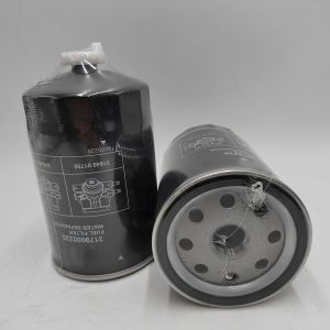 Buy cheap Truck Engine Parts Fuel Filter 3179000220 with OE NO. from Experienced OEM from wholesalers